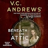 Beneath_the_attic